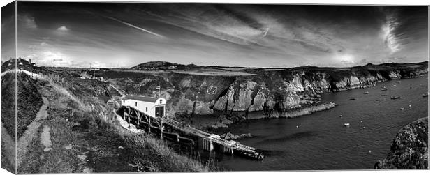 St Davids Lifeboat Station Canvas Print by Mark Williams