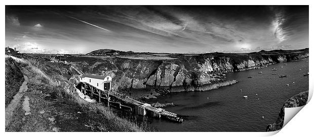 St Davids Lifeboat Station Print by Mark Williams