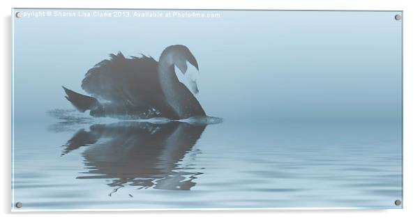 Swan lake Acrylic by Sharon Lisa Clarke