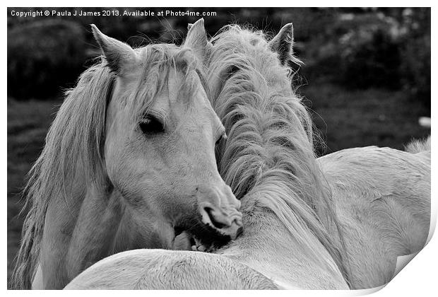 White Horses Print by Paula J James
