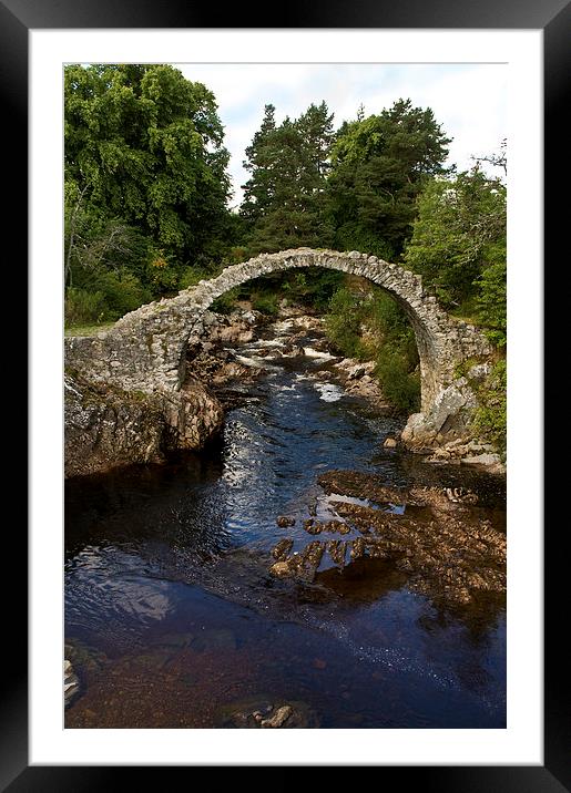 The Old Carrbridge Framed Mounted Print by Jacqi Elmslie
