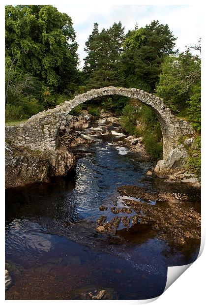 The Old Carrbridge Print by Jacqi Elmslie