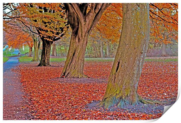 Autumn Trees III Print by Nadeesha Jayamanne