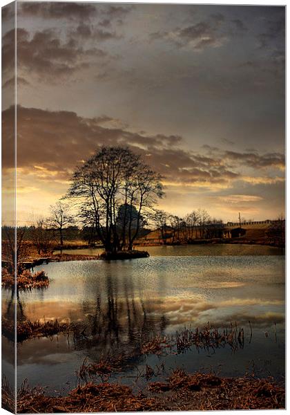 The Lake Canvas Print by Irene Burdell