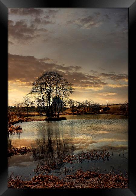 The Lake Framed Print by Irene Burdell