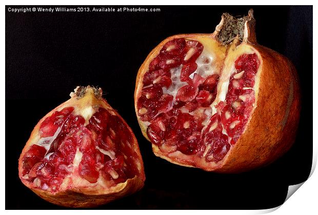 Pomegranate Print by Wendy Williams CPAGB