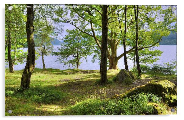 Loch Lomond Scotland  Acrylic by Diana Mower