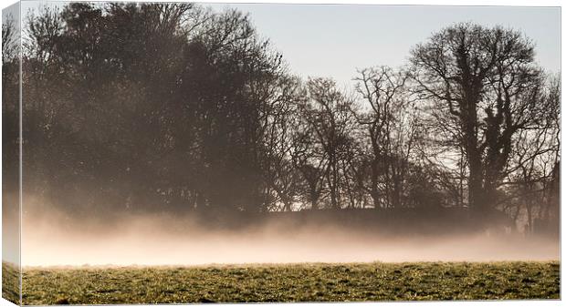 Morning mist Canvas Print by Thanet Photos