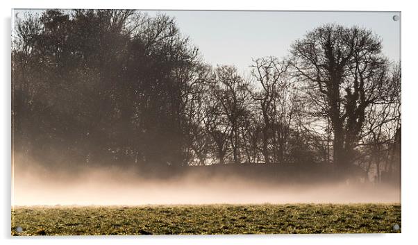 Morning mist Acrylic by Thanet Photos