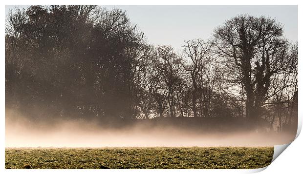 Morning mist Print by Thanet Photos