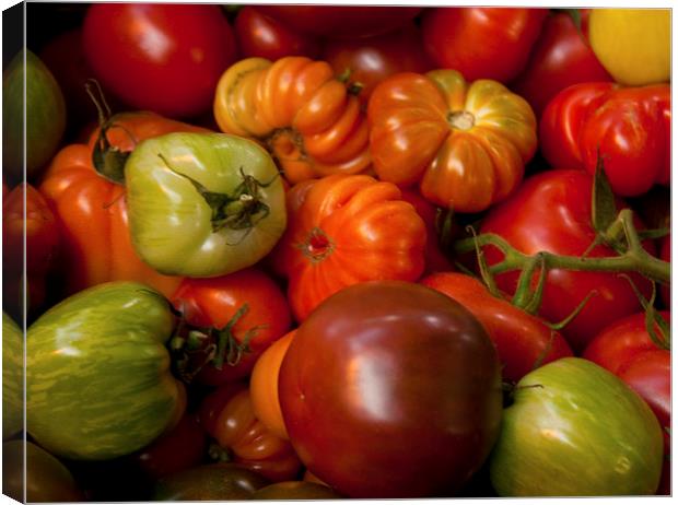 A mixture of tomatoes Canvas Print by anna collins