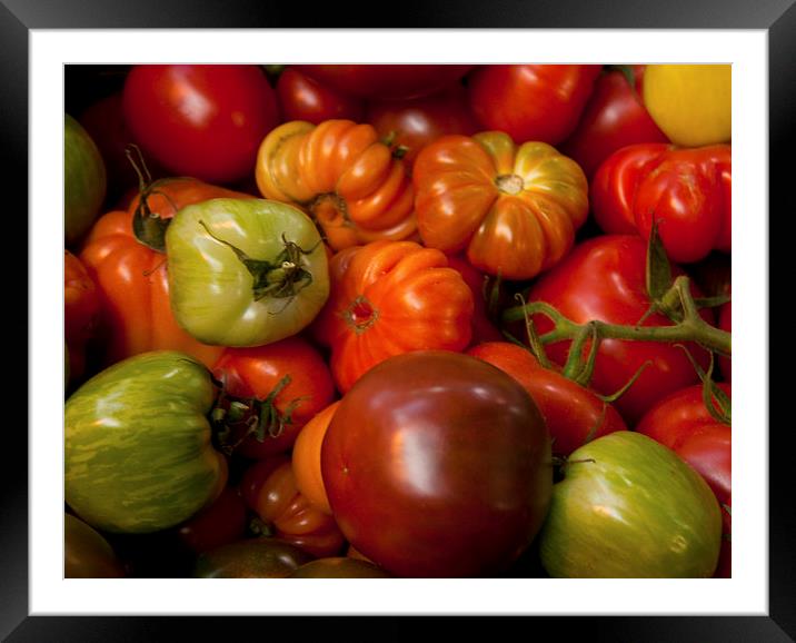A mixture of tomatoes Framed Mounted Print by anna collins