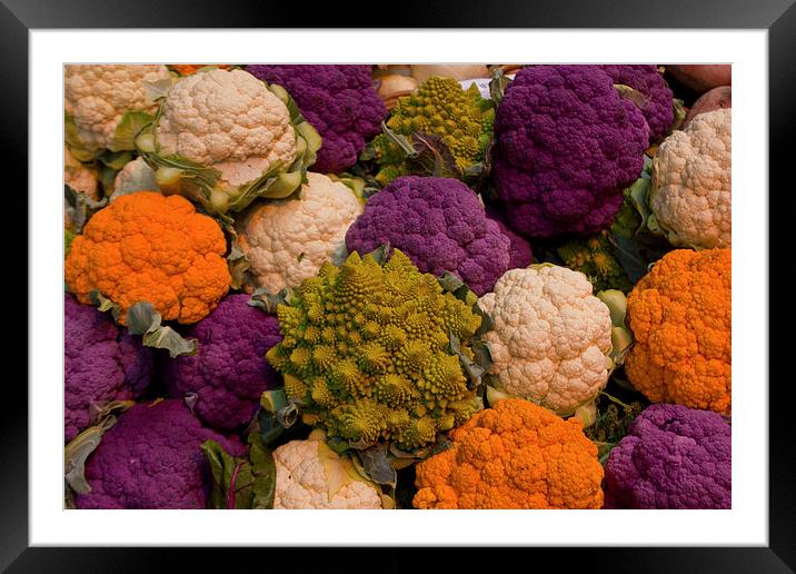 Cauliflower mixture Framed Mounted Print by anna collins