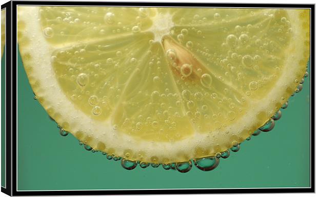 Lemon Canvas Print by Art Magdaluyo