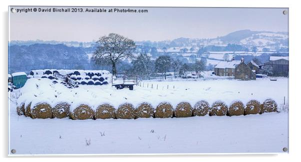Winter on a remote Derbyshire farm. Acrylic by David Birchall
