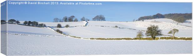 Derbyshire Snowscape Canvas Print by David Birchall