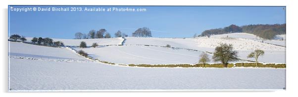 Derbyshire Snowscape Acrylic by David Birchall