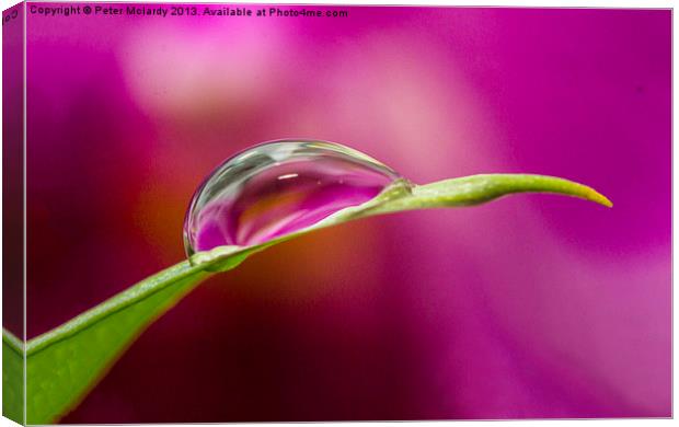 Water droplet ! Canvas Print by Peter Mclardy