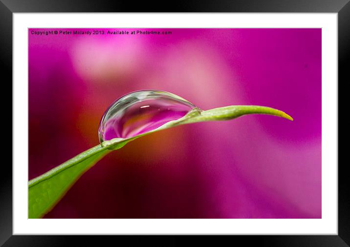 Water droplet ! Framed Mounted Print by Peter Mclardy