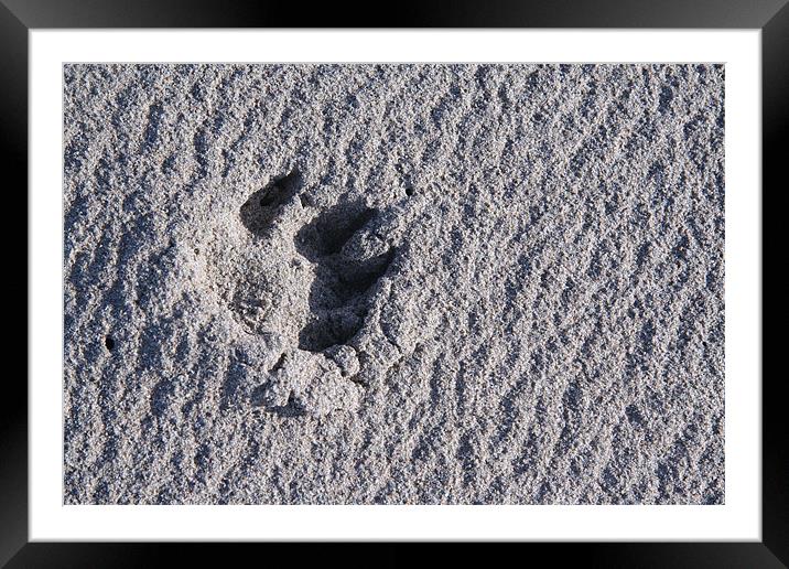 Footprint in the sand Framed Mounted Print by Kevin Murphy