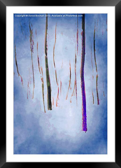 Abstract Forest Framed Mounted Print by David Birchall