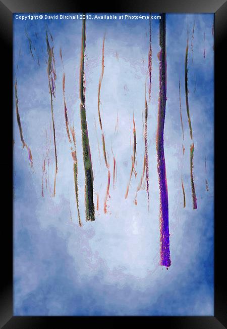 Abstract Forest Framed Print by David Birchall
