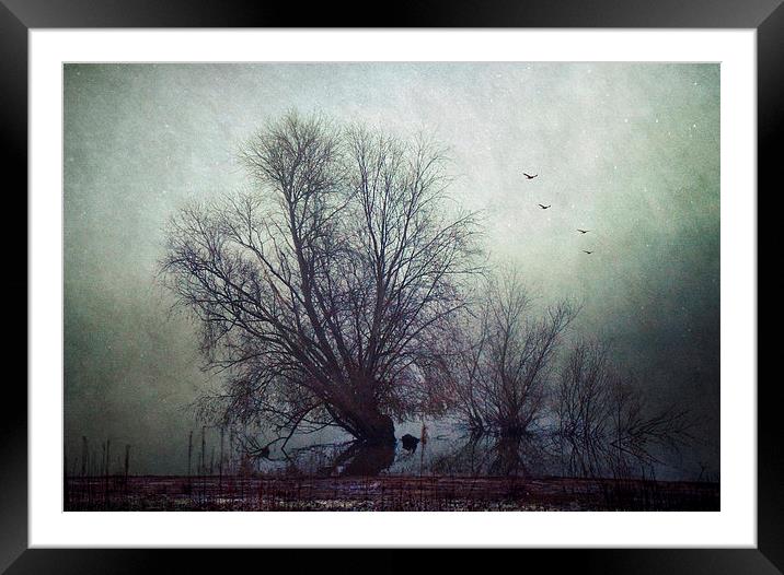 The Darkest Hour Framed Mounted Print by Dawn Cox