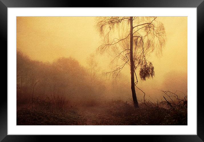 Standing Alone Framed Mounted Print by Dawn Cox