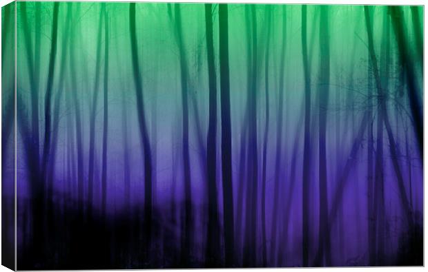 In the woods Canvas Print by Michelle Orai