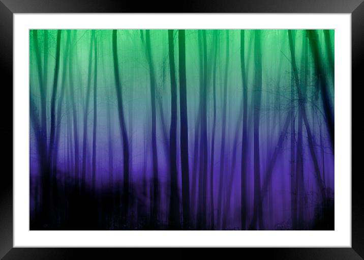 In the woods Framed Mounted Print by Michelle Orai