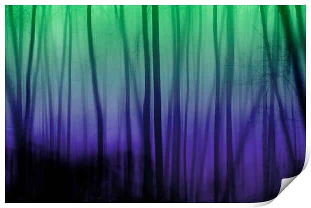 In the woods Print by Michelle Orai