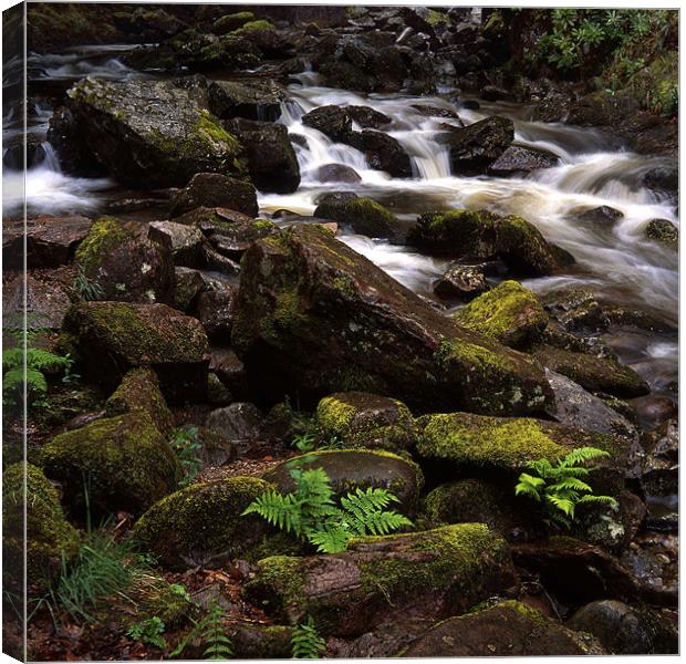 Fast flowing river in Scotland Canvas Print by James Mc Quarrie
