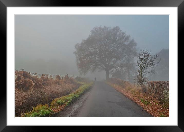 Morning Constitutional Framed Mounted Print by Mark  F Banks