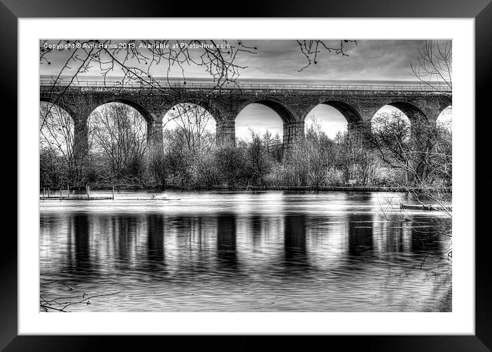 Viaduct at Reddish Vale Country Park Framed Mounted Print by Avril Harris