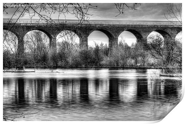 Viaduct at Reddish Vale Country Park Print by Avril Harris