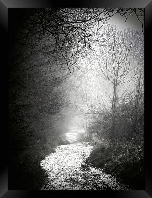 Frosty Foggy Path Framed Print by Fraser Hetherington