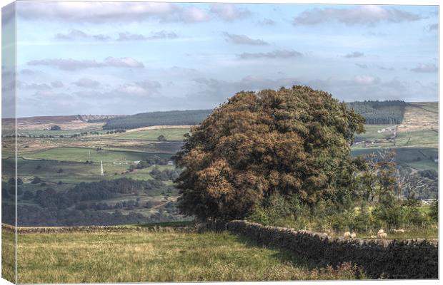 Yorkshire Countryside Scenery, England Canvas Print by Juha Remes