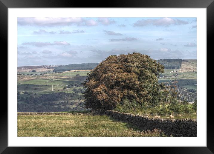 Yorkshire Countryside Scenery, England Framed Mounted Print by Juha Remes