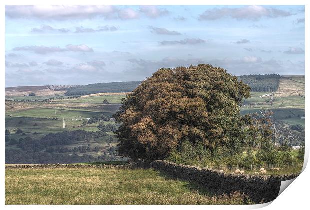 Yorkshire Countryside Scenery, England Print by Juha Remes