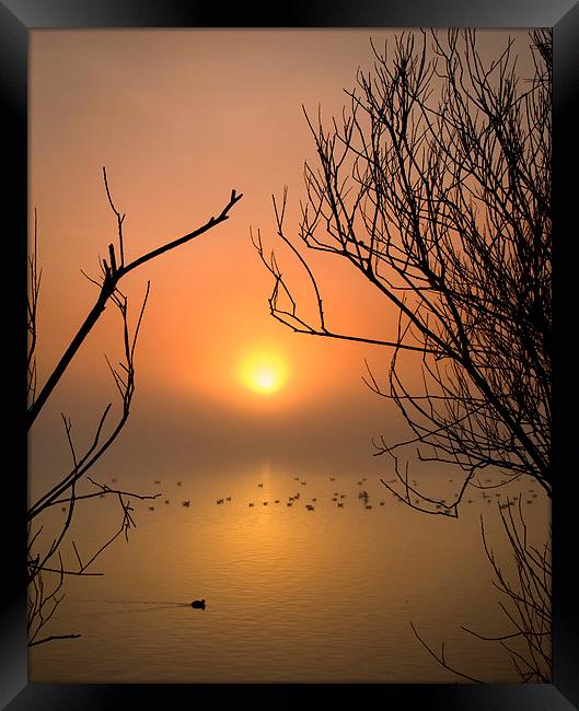 Cosmeston Lake with mist Framed Print by Mark Williams