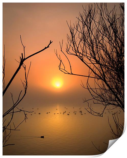 Cosmeston Lake with mist Print by Mark Williams
