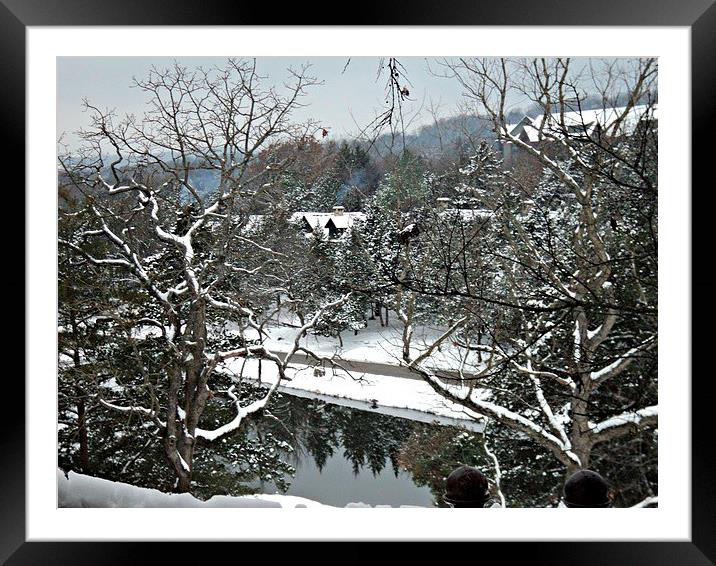 Cabins Amoung the Trees Framed Mounted Print by Pics by Jody Adams