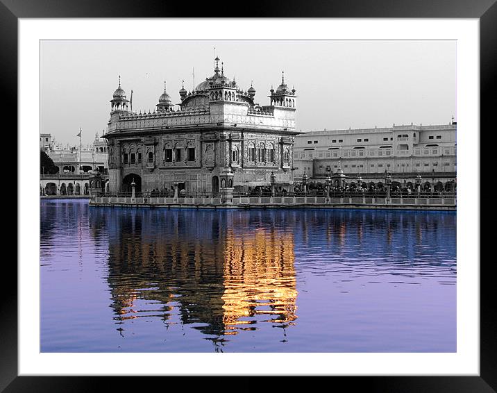reflection of the golden temple in the Amrit Sarov Framed Mounted Print by anurag gupta