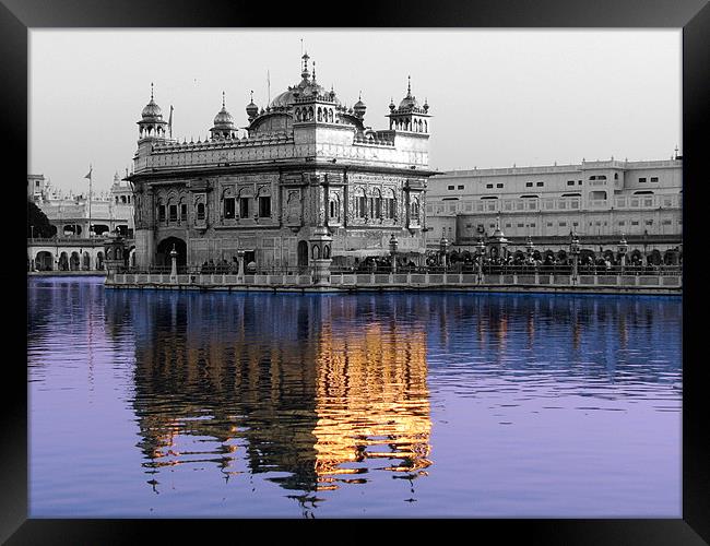 reflection of the golden temple in the Amrit Sarov Framed Print by anurag gupta