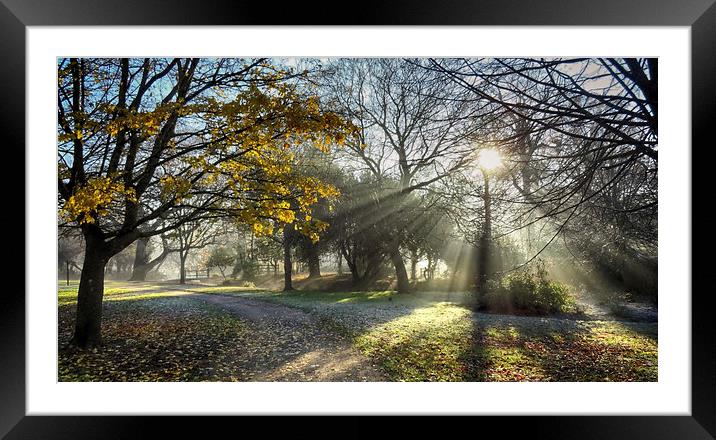 A Misty Morning Framed Mounted Print by Phil Clements