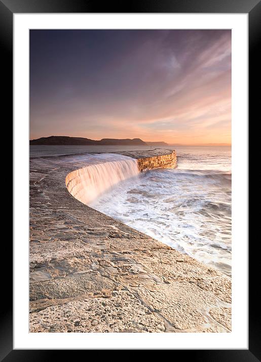 Sunkissed Cobb at Lyme Regis Framed Mounted Print by Chris Frost