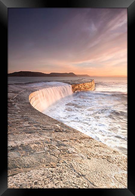Sunkissed Cobb at Lyme Regis Framed Print by Chris Frost