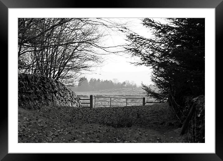 Old Stone Wall and Gate BW Scotland Framed Mounted Print by James Taylor