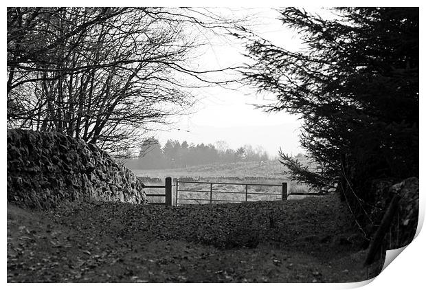 Old Stone Wall and Gate BW Scotland Print by James Taylor