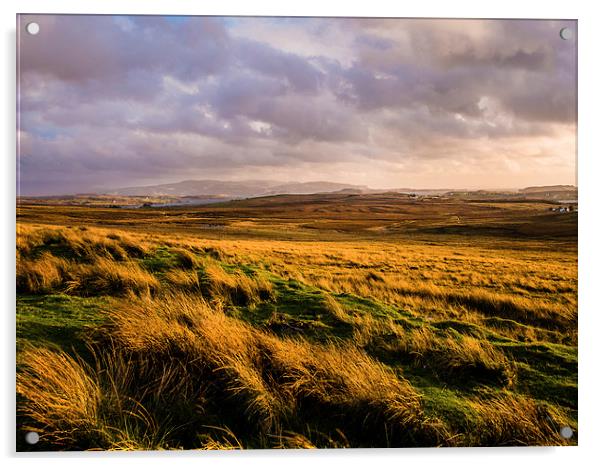 Isle of Skye Moorland, Scotland, UK Acrylic by Mark Llewellyn